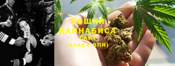 мдпв Богородск