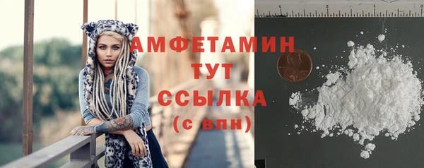 гидра Богданович