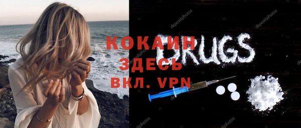 гидра Богданович