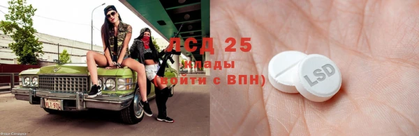 гидра Богданович