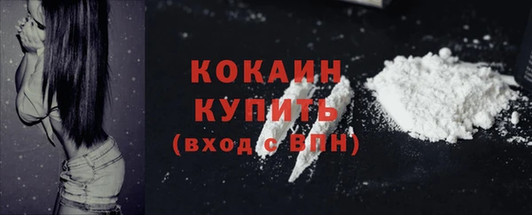 хмурый Богородицк