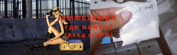 мдпв Богородск