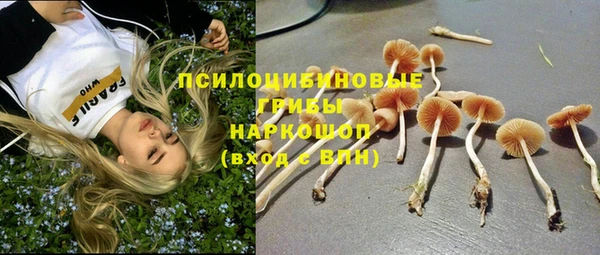 хмурый Богородицк