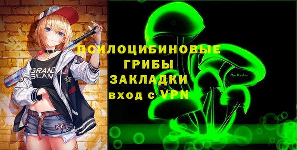 мдпв Богородск