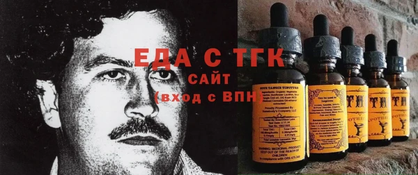 гидра Богданович