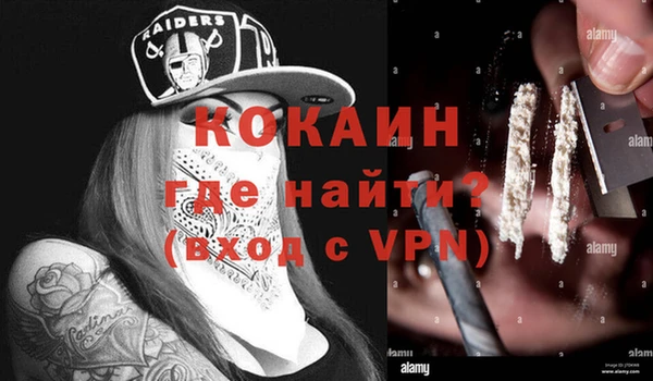 гидра Богданович