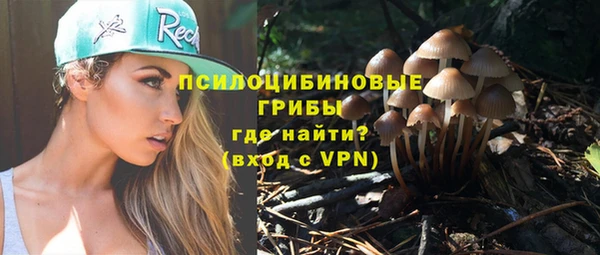гидра Богданович