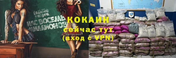 гидра Богданович
