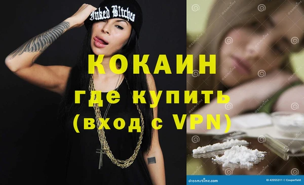 гидра Богданович
