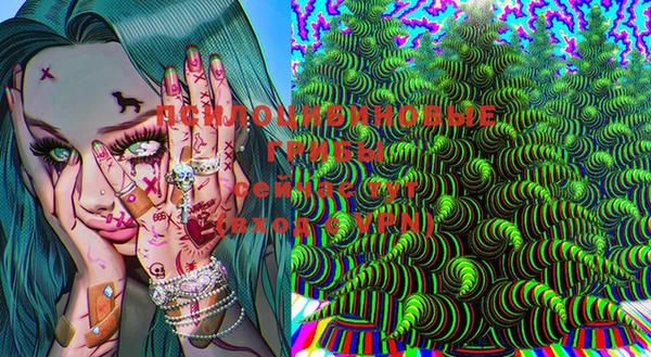 хмурый Богородицк